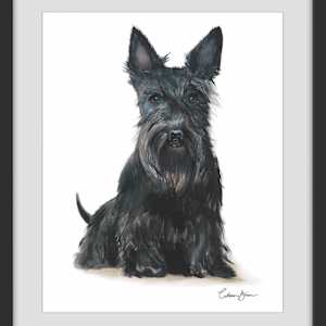 Black Scottie by Colleen Brown 