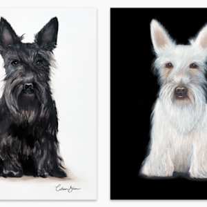 Black Scottie by Colleen Brown 