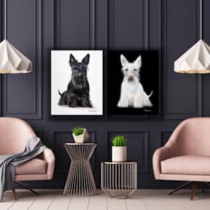 Black Scottie by Colleen Brown 