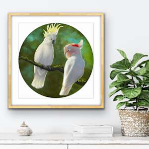 Cocky & The Major by Colleen Brown