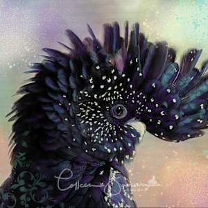 Party Like a Black Cockatoo by Colleen Brown