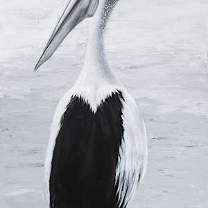 The Pelican by Colleen Brown