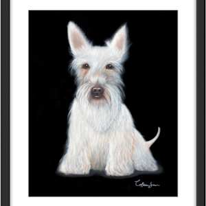 White Scottie by Colleen Brown 