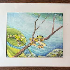 Monterey Tree Frog by Carole Moore