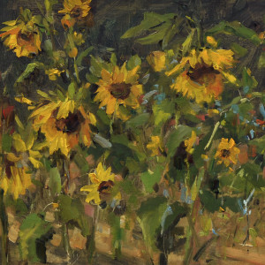 Sunflower Garden by Stephanie Amato