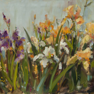 The Irises in My Garden (Framed) by Stephanie Amato