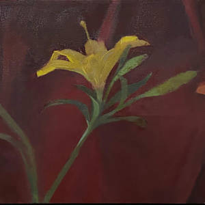 Lily-Yellow-Lily by Lucy Barber