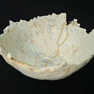 Not Forgotten by Dusti Gomery