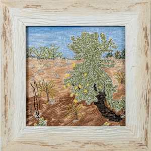 Jumping Cholla by Janet Herman  Image: As framed in rustic barnwood 8x8x1