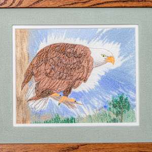Eagle's View by Janet Herman 