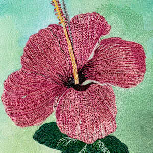 Hibiscus Reproduction #3/5 by Janet Herman  Image: Reproduction of Hibiscus stitched image