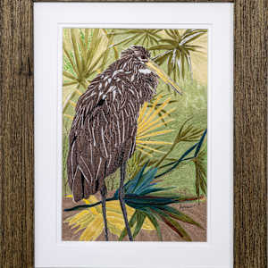 Limpkin Portrait by Janet Herman 