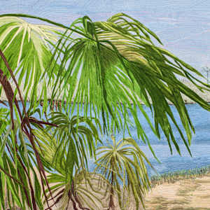 Palmetto Trail by Janet Herman