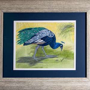 Peacock Blues by Janet Herman  Image: As framed, when sold. 