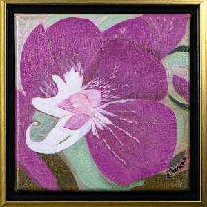 Pink Orchid by Janet Herman  Image: As framed.