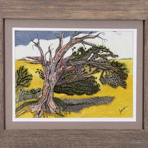 Windy Ridge Bristlecone by Janet Herman  Image: As framed, when sold.
