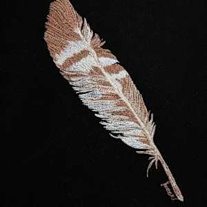 Night Eagle Feather 8x10 Reproduction #2 of 5 by Janet Herman 