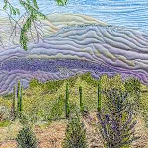 Superstition Trail by Janet Herman  Image: Superstition Trail textile art - excerpt