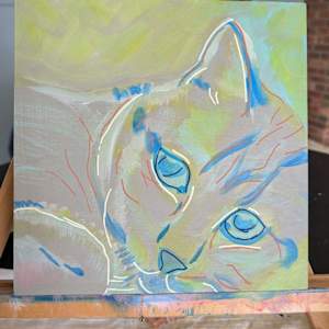 Cat... by Hanna Bordewijk  Image: set up in paint and posca markers