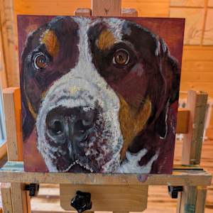 Chewie by Hanna Bordewijk  Image: Getting close