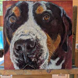 Chewie by Hanna Bordewijk  Image: And there we are