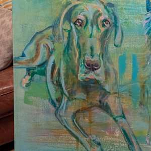 Our pets. by Hanna Bordewijk  Image: Axel is outlined