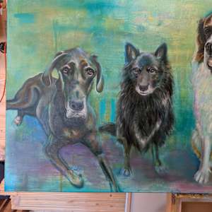 Our pets. by Hanna Bordewijk  Image: There are Axel and Sam