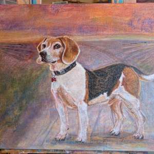 Buster by Hanna Bordewijk