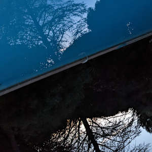 Reflections by Alina Manko, Image 7.