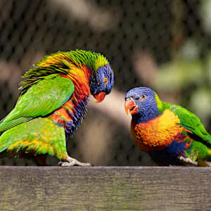 Intimidation tactics by EB Photography
