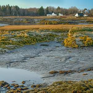Maine 11 by Raphael Warshaw
