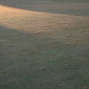 Golf Course 23 by Raphael Warshaw