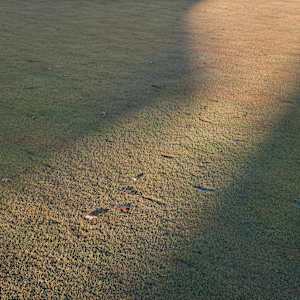 Golf Course 28 by Raphael Warshaw