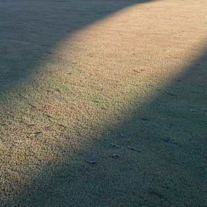 Golf Course 33 by Raphael Warshaw
