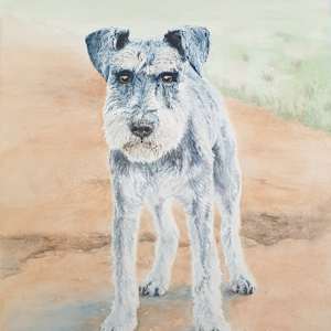 Rupert by Sara Miller