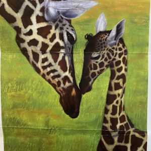 Untitled by Joey Owens