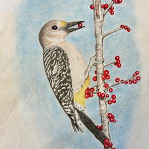 Yellow Crest Wood Pecker by "George's HomePage"