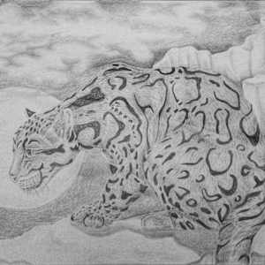 Night Stalker by Sonya Wyatt