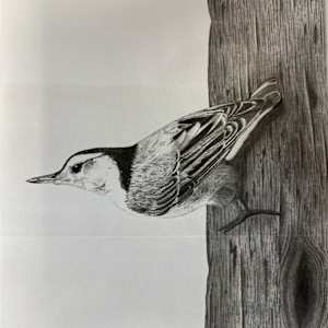 Untitled by Michael E. Dorcas