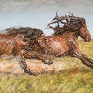 Warriors by Mark Parsch