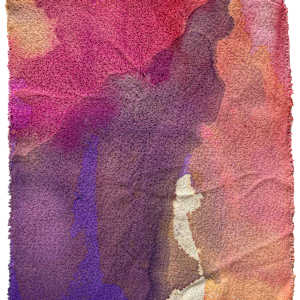 how to forgive by Anna Richards