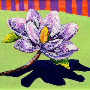 magnolia by Anna Richards