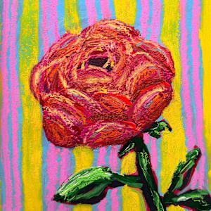 rose by Anna Richards