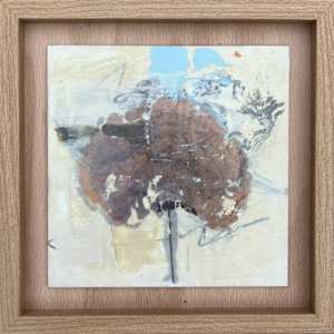 Turkey Tail by Lisa Herriott, Image 2.