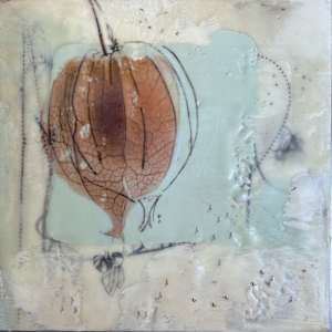 Ground Cherry by Lisa Herriott
