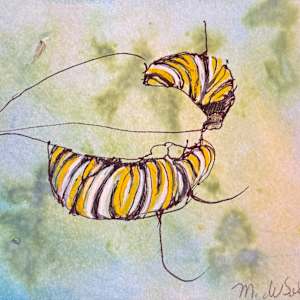 Monarch Caterpillar Study I by M. de Soleil, Image 1.
