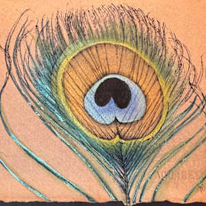 Peacock Feather by M. de Soleil, Image 1.
