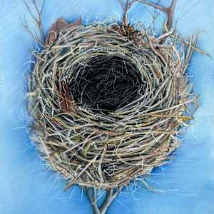 Nest with Dried Leaves by M. de Soleil, Image 1.