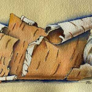 Birchbark by M. de Soleil, Image 1.