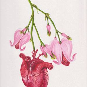 Healed Heart by Stephenie Anderson